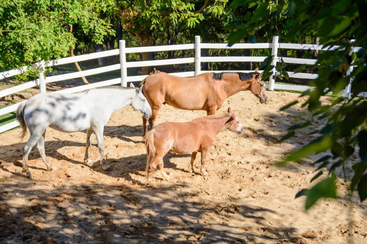 Hotel Cabana Do Rei São João del Rei エクステリア 写真